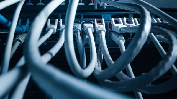Κοντινό πλάνο Macro Shot: Καλώδια Ethernet συνδεδεμένα με θύρες Router. Τηλεπικοινωνίες: Συνδετήρες συσκευών RJ45 συνδεδεμένοι σε κόμβους μόντεμ. — Φωτογραφία Αρχείου