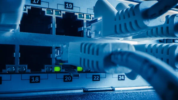 Macro Shot: Ethernet Cables Connected to Router Ports with Blinking Lights. Telekomunikasi: Konektor Internet RJ45 ditancapkan ke Modem LAN Switches. Tampilan Sisi Ditembak — Stok Foto