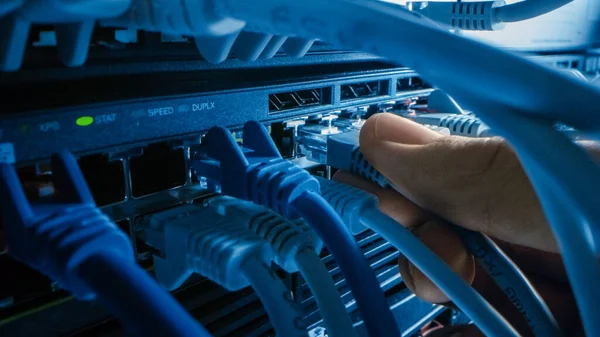 Macro Shot: IT Administrator Plugs in RJ45 Internet Connector into LAN Router Switch. Information Communication Network in Data Center with Cables Connected to Modem Ports with Blinking Lights — Stock Photo, Image
