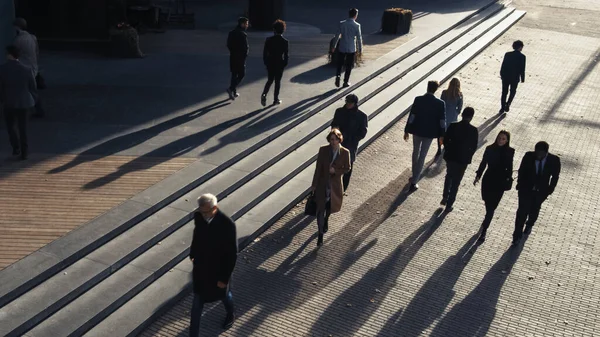 Kontorschefer och affärsmän pendla till jobbet på morgonen eller från kontoret på en solig dag på foten. Fotgängare är snyggt klädda. Framgångsrika människor går i centrum. Skjuten ovanifrån. — Stockfoto