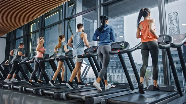 Groupe de personnes athlétiques Courir sur des tapis roulants, Faire de l'exercice physique. Entraînement actif des femmes et des hommes sportifs et musclés dans le gymnase moderne. Sports Gens Entraînement au club de fitness. — Photo