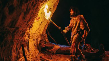Primeval Caveman Wearing Animal Skin Exploring Cave At Night, Holding Torch with Fire Looking at Drawings on the Walls at Night. Cave Art with Petroglyphs, Rock Paintings. Side View clipart