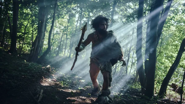 Primeval Caveman Wearing Animal Skin Holds Stone Tipped Spear Looks Around, explore la forêt préhistorique dans une chasse à la proie animale. Neanderthal Aller à la chasse dans la jungle — Photo