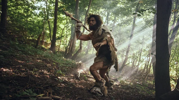 El cavernícola primitivo que lleva piel de animal sostiene la lanza de punta de piedra mira a su alrededor, explora el bosque prehistórico en una búsqueda de presas de animales. Neanderthal va a cazar en la selva —  Fotos de Stock