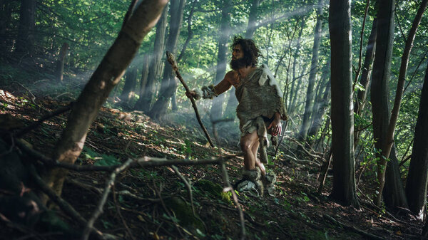 Primeval Caveman Wearing Animal Skin Holds Stone Tipped Spear Looks Around, Explores Prehistoric Forest in a Hunt for Animal Prey. Neanderthal Going Hunting in the Jungle