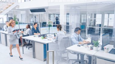 Masaüstü Bilgisayar, Konuşma, Müşteri Desteği, Müşterilerle İletişim, İstatistikleri İzleme konularında çalışan Genç Profesyonellerin Parlak Ofis Sıralarında. İş kadını Koridorda Yürüyor