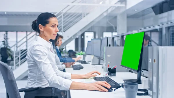 《 Young Handsome Female Manager Works on a Desktop Computer with Green Screen Mock Up 》 ( 영어 ). Diverse and Motivated Business People Work on Computers in Modern Open Office. — 스톡 사진