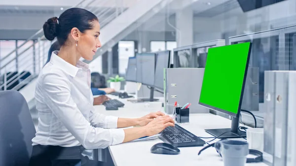 Νεαρή όμορφη γυναίκα διευθυντής εργάζεται σε έναν επιτραπέζιο υπολογιστή με πράσινη οθόνη Mock Up. Ποικίλλει και κίνητρα Οι επιχειρηματίες εργάζονται σε υπολογιστές στο σύγχρονο Ανοιχτό Γραφείο. — Φωτογραφία Αρχείου