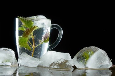 Siyah arka planda ısırgan ve buz yaprakları ile tıbbi Isırgan Çayı fincan