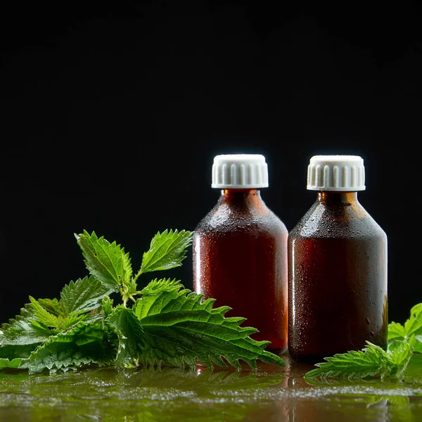 黒い背景にイラクサの葉を持つイラクサの煎じ薬の医療注入を伴う2つの瓶 — ストック写真