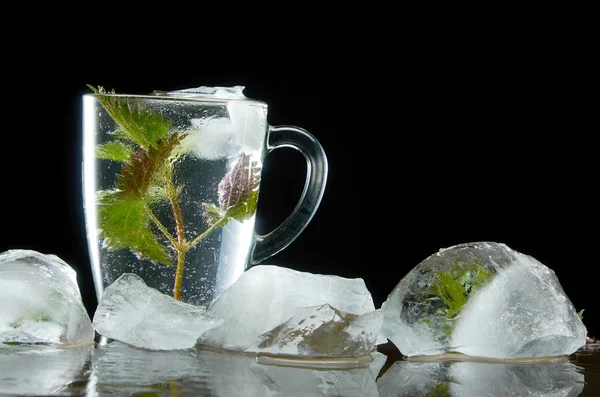 Cup of medicinal nettle tea with nettle and ice leaves on black background