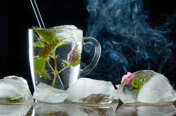 Kopp medicinskt nässlor te med nässlor och isblad på svart bakgrund och rök — Stockfoto