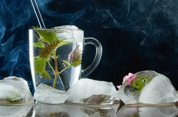 Tazza di tè all'ortica medicinale con ortica e foglie di ghiaccio su sfondo nero e fumo — Foto Stock