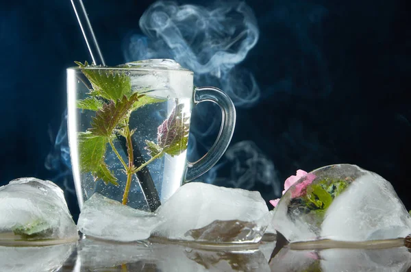 Tazza di tè all'ortica medicinale con ortica e foglie di ghiaccio su sfondo nero e fumo — Foto Stock