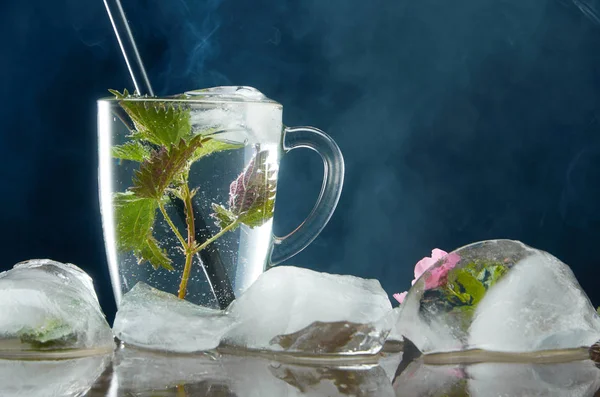 Tazza di tè all'ortica medicinale con ortica e foglie di ghiaccio su sfondo nero e fumo — Foto Stock