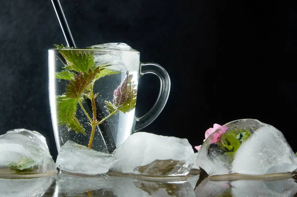 Šálek léčivého čaje s Nettou a ledem na černém pozadí a na vodním prachu — Stock fotografie