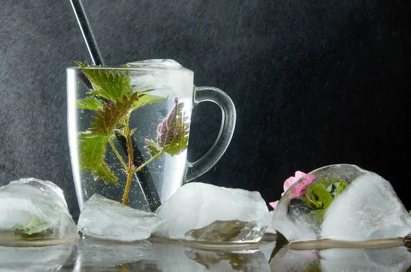 Tazza di tè all'ortica medicinale con ortica e foglie di ghiaccio su sfondo nero e polvere d'acqua — Foto Stock