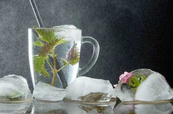Tazza di tè all'ortica medicinale con ortica e foglie di ghiaccio su sfondo nero e polvere d'acqua — Foto Stock