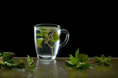Siyah arka planda ısırgan yaprakları ile tıbbi Isırgan Çayı fincan
