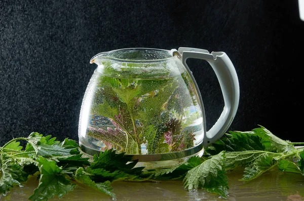 Teekanne mit Brennnesselblättern und Wasserstaub auf schwarzem Hintergrund — Stockfoto