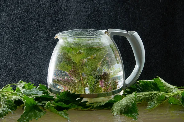 Teekanne mit Brennnesselblättern und Wasserstaub auf schwarzem Hintergrund — Stockfoto