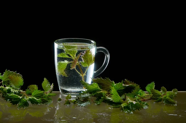 Tasse medizinischer Brennnesseltee mit Brennnesselblättern auf schwarzem Hintergrund — Stockfoto