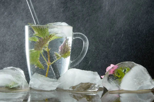 Чашка чая с крапивой и ледяными листьями на черном фоне и водяной пыли — стоковое фото