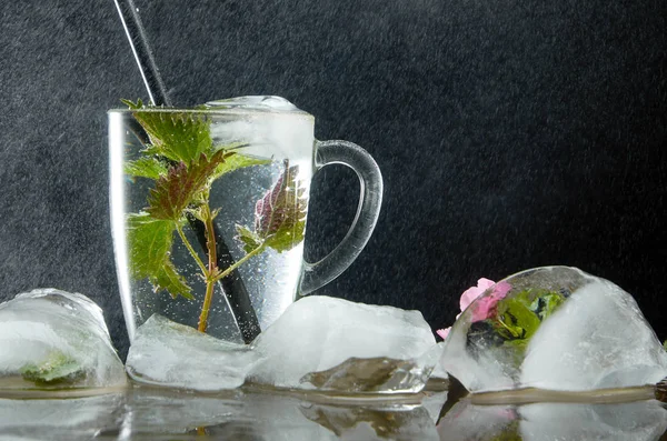 Чашка чая с крапивой и ледяными листьями на черном фоне и водяной пыли — стоковое фото