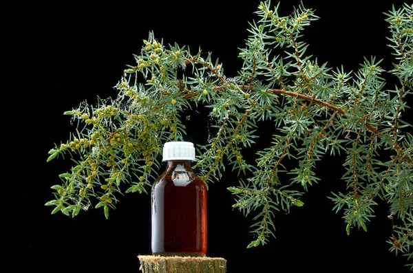 ジュニパーの美しい枝と暗い背景に薬のボトル — ストック写真