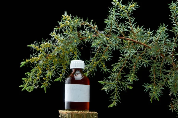 Schöner Wacholderzweig und eine Flasche Medizin auf dunklem Hintergrund — Stockfoto