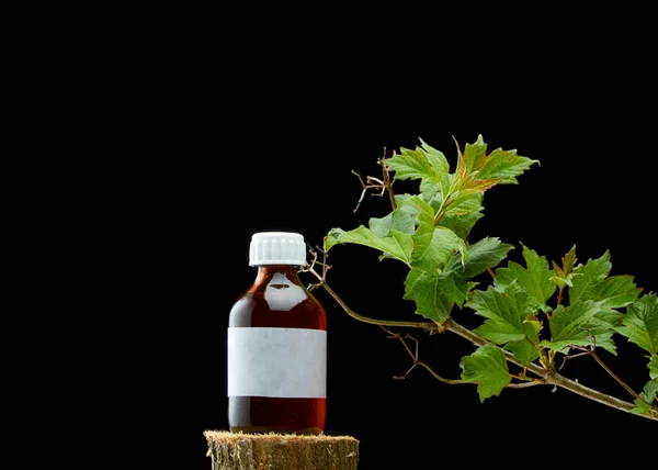 BEAUTIFUL BRANCH OF VIBURNUM AND A BOTTLE OF MEDICINE ON DARK BACKGROUND — Stock Photo, Image