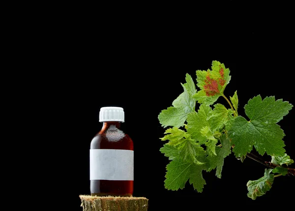 Vacker gren av Viburnum och en flaska medicin på mörk bakgrund — Stockfoto