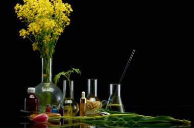 Tıbbi flsorlar ve lale siyah arka planda taze bitki dalları