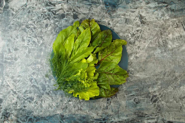 GREEN VEGETABLES ON A DARK BACKGROUND. SORREL SALAD BEET LEAVES DILL ON DARK TEXTURED BACKGROUND.