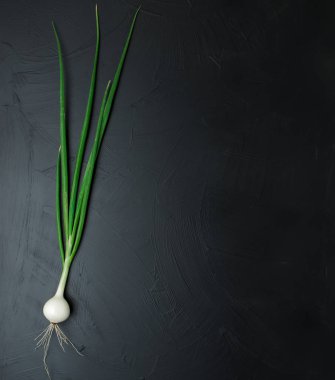 TEXTure GREEN ONIONLARLA SÜRÜNÜNÜ KURUYOR. BÜYÜK YEŞİK ONLARLA BİR AÇIKLAR.