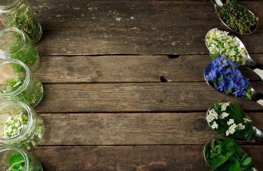 Taze şifalı otlar. Şifalı otlar (papatya, pelin, yar