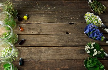 Taze şifalı otlar. Şifalı otlar (papatya, pelin, yar