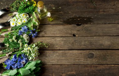 Taze şifalı otlar. Şifalı otlar (papatya, pelin, yar