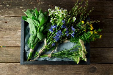 Taze şifalı otlar. Şifalı otlar (papatya, pelin, yar