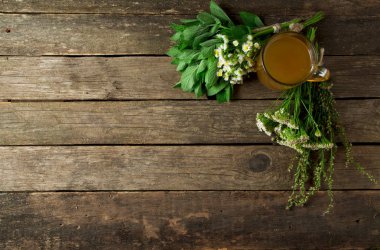 Taze şifalı otlar. Şifalı otlar (papatya, pelin, yar