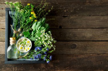 Taze şifalı otlar. Şifalı otlar (papatya, pelin, yar