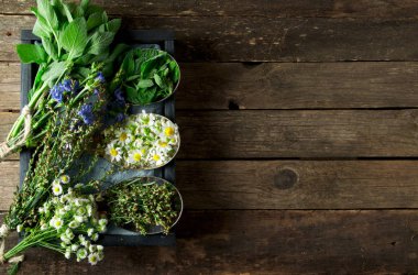 Taze şifalı otlar. Şifalı otlar (papatya, pelin, yar