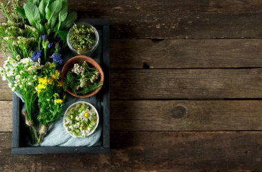 Taze şifalı otlar. Şifalı otlar (papatya, pelin, yar