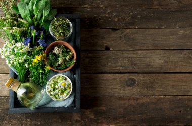 Taze şifalı otlar. Şifalı otlar (papatya, pelin, yar