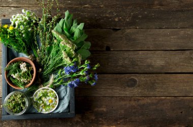 Taze şifalı otlar. Şifalı otlar (papatya, pelin, yar