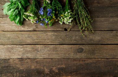 Taze şifalı otlar. Şifalı otlar (papatya, pelin, yar