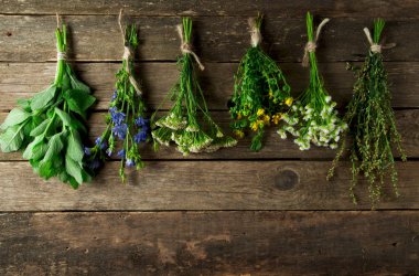 Taze şifalı otlar. Şifalı otlar (papatya, pelin, yar