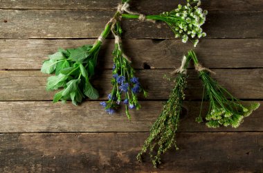 Taze şifalı otlar. Şifalı otlar (papatya, pelin, yar