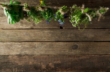 Taze şifalı otlar. Şifalı otlar (papatya, pelin, yar