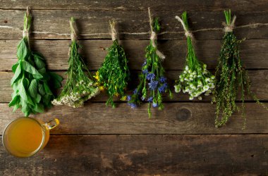 Taze şifalı otlar. Şifalı otlar (papatya, pelin, yar